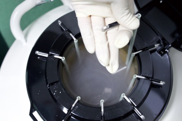 ԇ܋냺,ԇ܃ֲ,ԇֲ̥